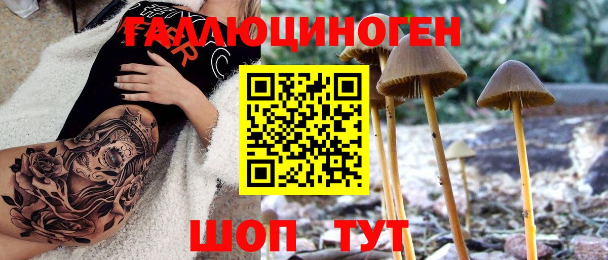 Галлюциногенные грибы ЛСД Луховицы