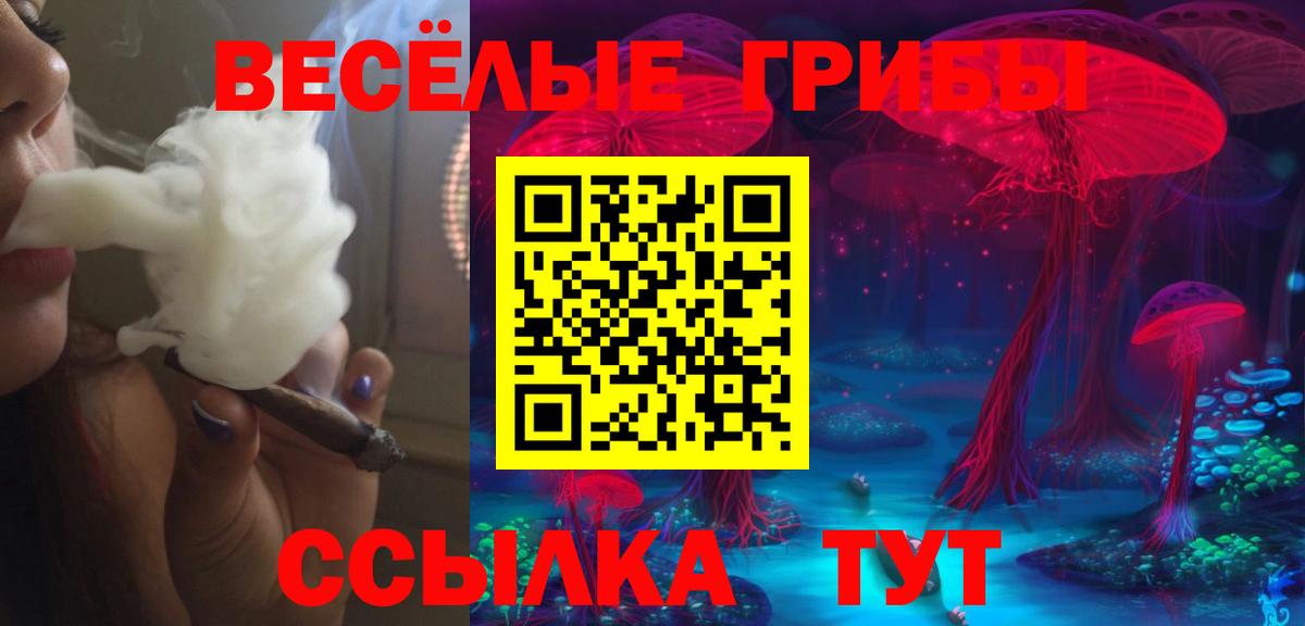 Псилоцибиновые грибы прущие грибы  Вход с VPN  Луховицы  Псилоцибиновые грибы MAGIC MUSHROOMS 